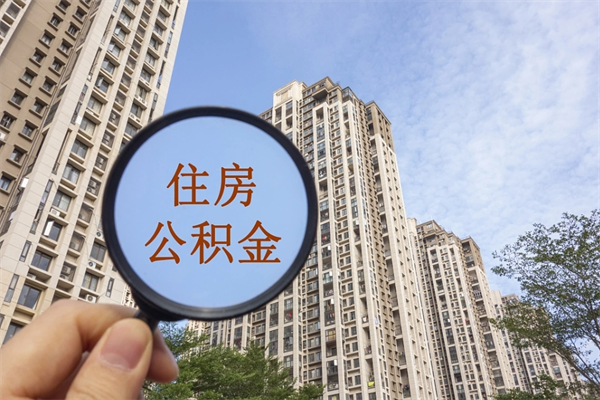 五指山离职后离职公积金如何取（离职后公积金提取步骤）